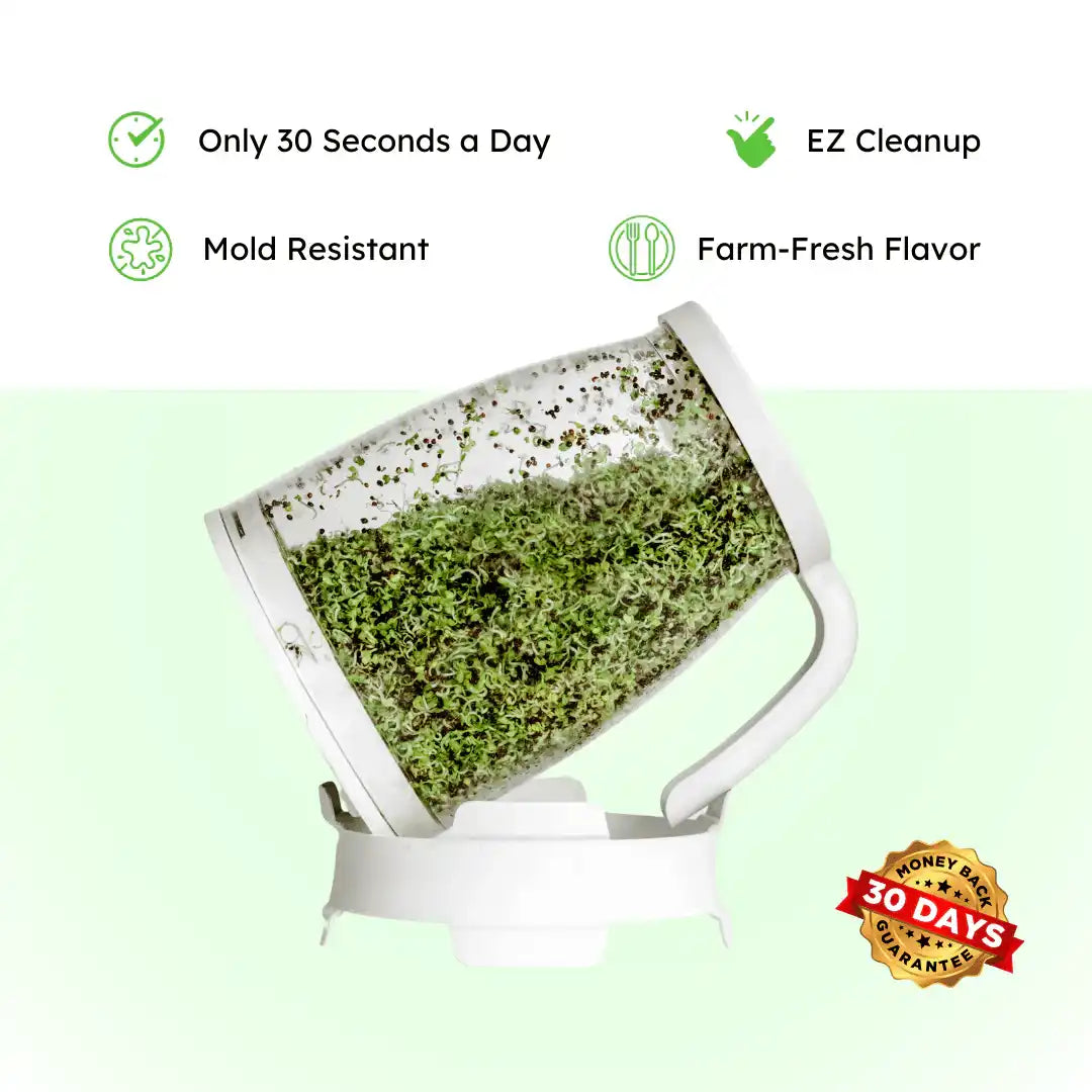 Sprout Spout Fenugreek Starter Kit: Sprout Spout + 4oz or 1lb seeds + Free Sprout Scoop