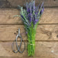 Stainless Garden Scissors (Pruning Shears/Pruners/Secateurs/Clippers)