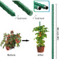 Sturdy Coated Steel Garden Stakes (available in lengths of: 2.5', 3', 4', 5', and 6') All plant sticks are 7/16" diameter.