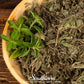Stevia – 50 Seeds