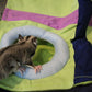 Marshall Ferret Cage Fun N Games Tick Tack Toe Blanket Bed Toy