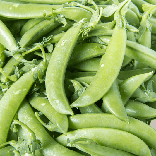 Snap Pea Seeds