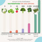 Sprout Spout Broccoli Starter Kit: Sprout Spout + 4oz or 1lb seeds + Free Sprout Scoop