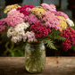 Summer Berries Yarrow Mix – 50 Seeds
