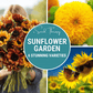 Sunflower Seed Collection – 6 Varieties