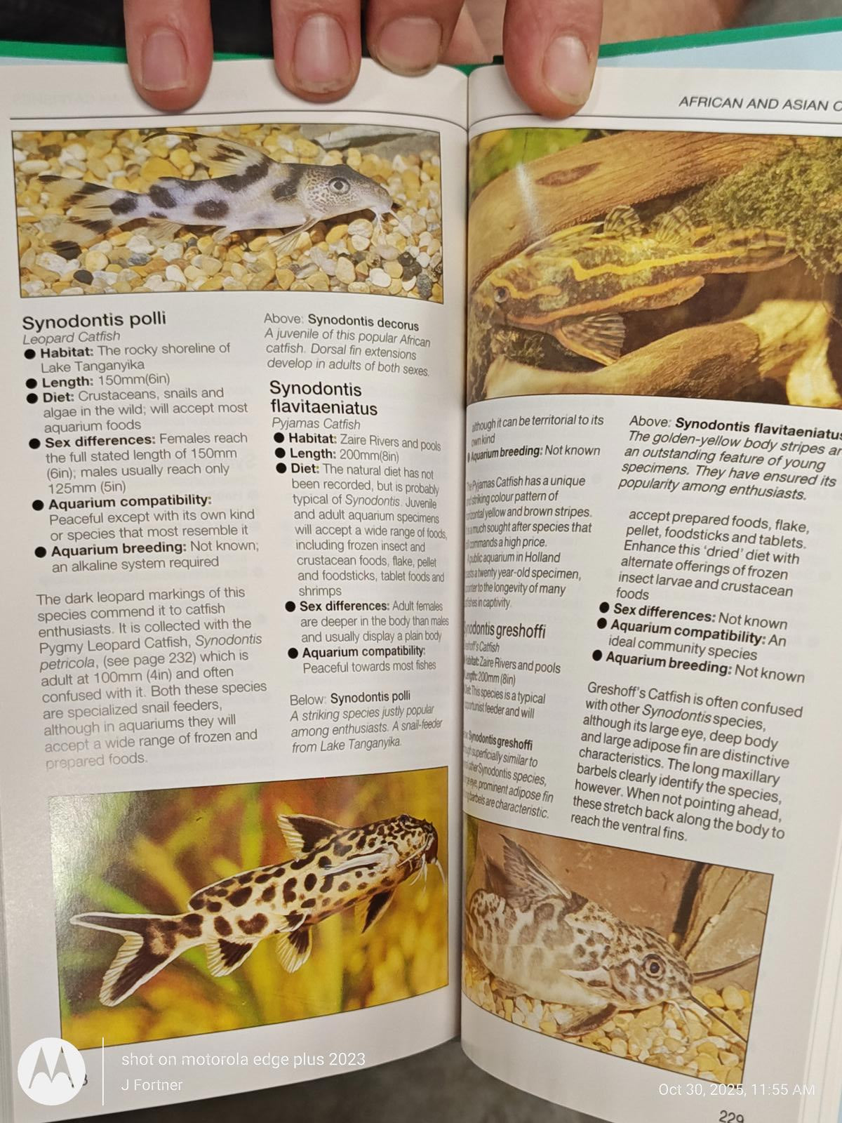 Popular Guide to Tropical Aquarium Fishes Hardcover Dick Mills
