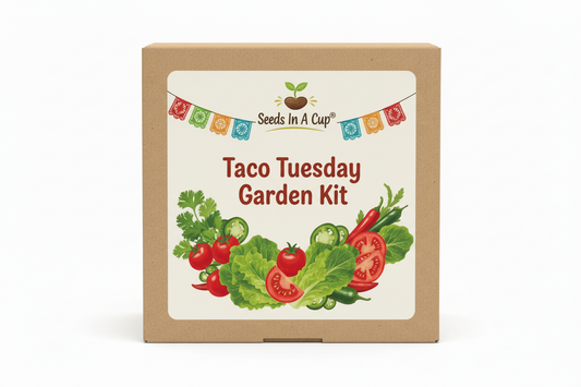 Taco Tuesday Garden Kit | Tomato, Cilantro, Lettuce & Jalapeno Pepper | Seeds In A Cup®
