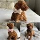 Wedding Teddy Handmade Knitted Set