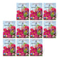 The Old Farmer's Almanac Powder Puff Mix Aster Seeds