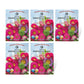 The Old Farmer's Almanac Powder Puff Mix Aster Seeds