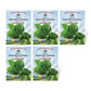 The Old Farmer's Almanac Heirloom Peppermint Seeds