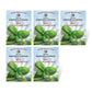 The Old Farmer's Almanac Heirloom Italian Large Leaf Basil Seeds - USDA Organic