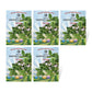 The Old Farmer's Almanac Heirloom Thyme Seeds - USDA Organic