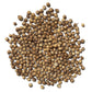 The Old Farmer's Almanac Heirloom Slow Bolt Cilantro Seeds - USDA Organic