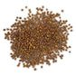 The Old Farmer's Almanac Organic Cherry Belle Radish Seeds - USDA Organic