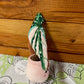 Begonia Variegated Maculata Plush Keychain