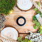 "The Popular Kids" Houseplant Seed Collection