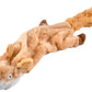 Jeffers Thinnies Unstuffed Plush Dog Toys, 21"L