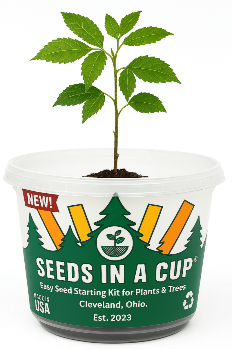 Lavender Growing Kit - Herb Seed Starter Kit