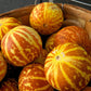 Tigger Melon - 20 Seeds - Exotic Garden Fruit - Sweet Melons