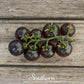 Black Cherry Tomato – 20 Seeds