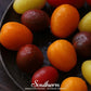 Rainbow Cherry Tomato – 50 Seeds