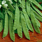 100 Sugar Daddy Snow Pea Seeds | Stringless Edible Pods | Grow Crisp Sweet Peas in Garden Beds, Raised Beds, or Containers