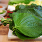 400 Seeds Perilla (Shiso), Korean Perilla Herb for Planting – Aromatic, Versatile Asian Herb for Sushi, Garnishes, Stir-Fries & More