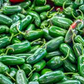 100+ Jalapeño Pepper Seeds | Capsicum annuum | Spicy Heirloom Variety | Grow Flavorful Peppers for Salsa, Pickling, or Grilling