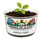Apple Tree Grow Kit | Grow Your Own Apples from Seed | Seeds In A Cup®