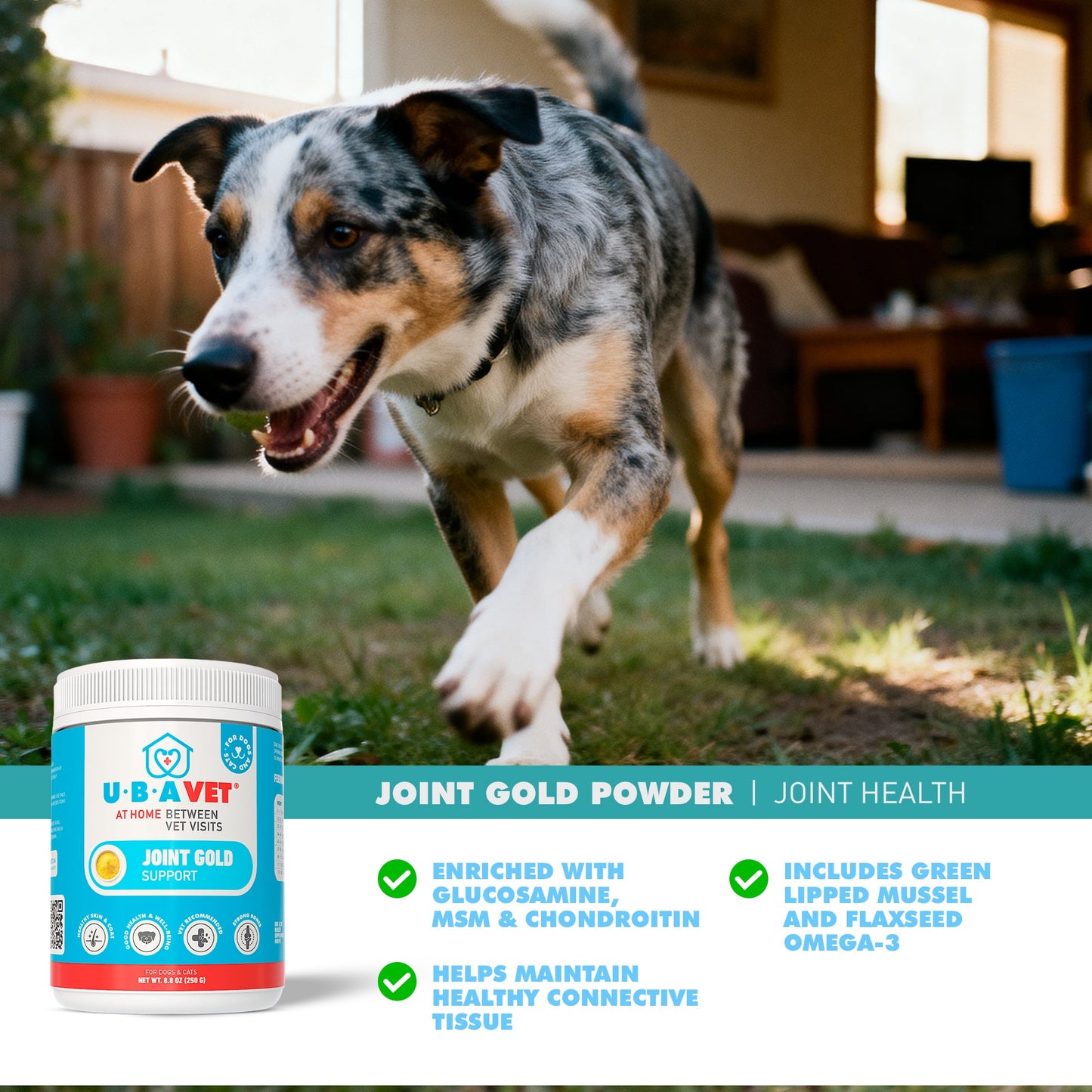 UBAVET Joint Gold Support Powder for Dogs & Cats – 8.8 oz / 250 g