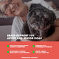 UBAVET Memory & Brain Support for Senior Dogs – 90 ct Cognitive Health Supplement
