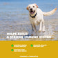 UBAVET Immune Support Daily Multi-Vitamin & Mineral Tablets for Dogs – 90 ct