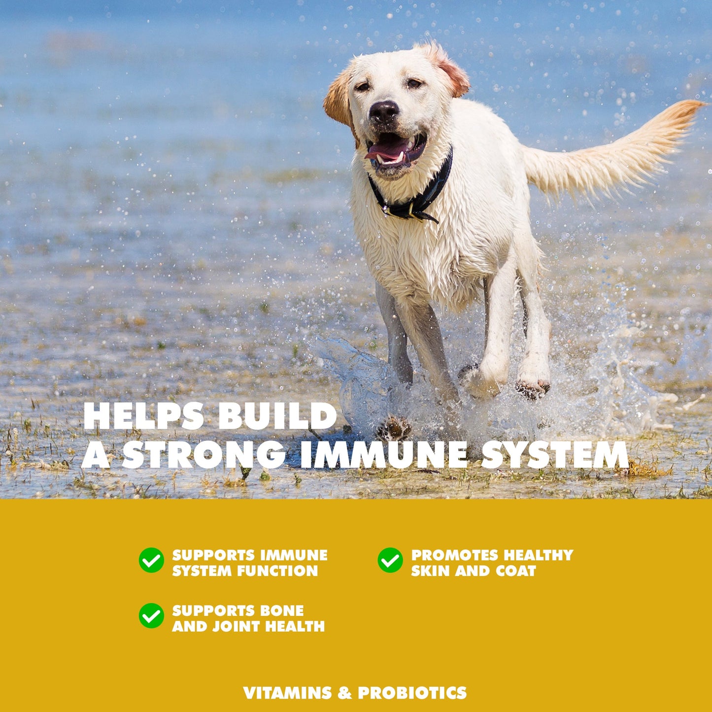 UBAVET Immune Support Daily Multi-Vitamin & Mineral Tablets for Dogs – 90 ct