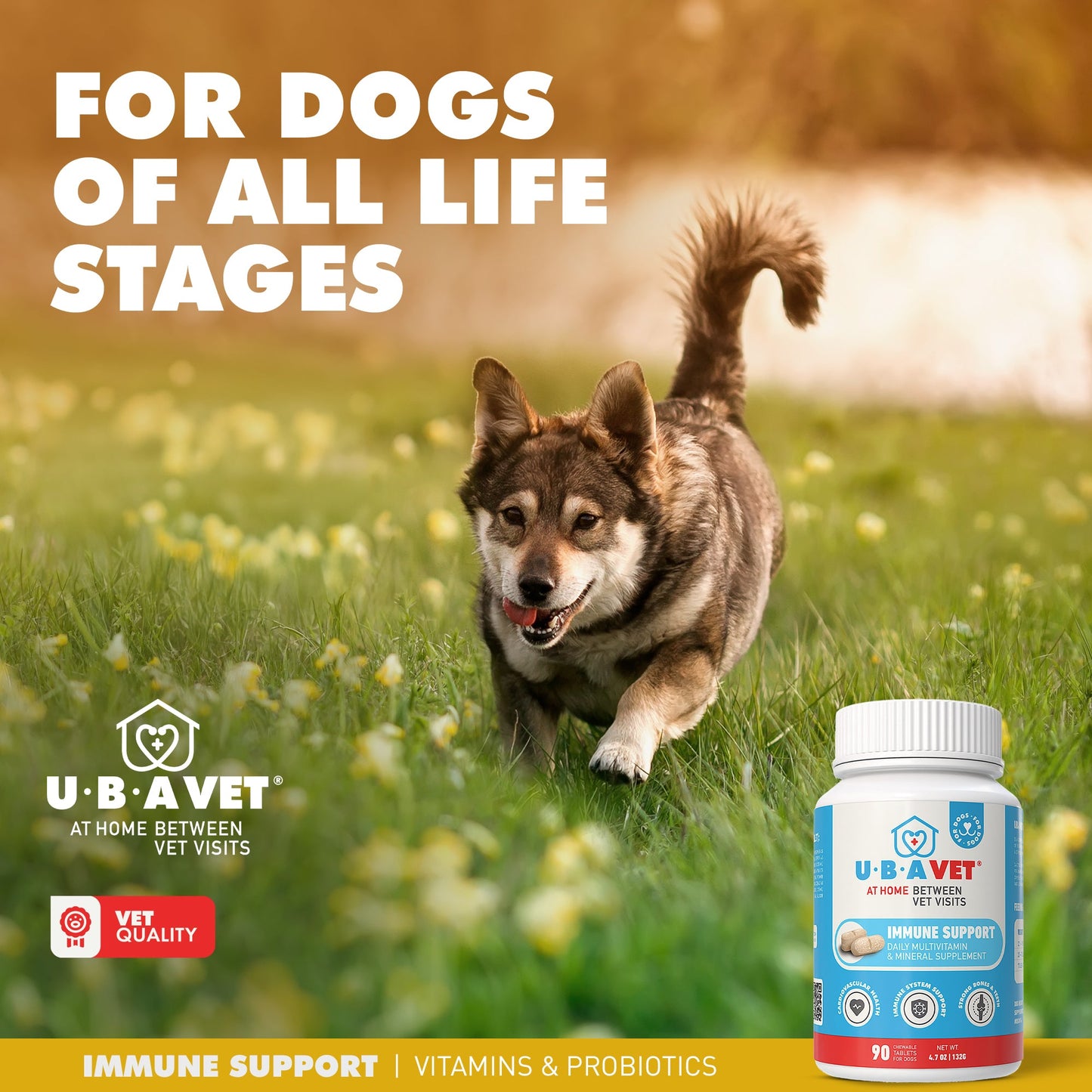 UBAVET Immune Support Daily Multi-Vitamin & Mineral Tablets for Dogs – 90 ct