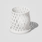 Capricious Orchid Planter Pot