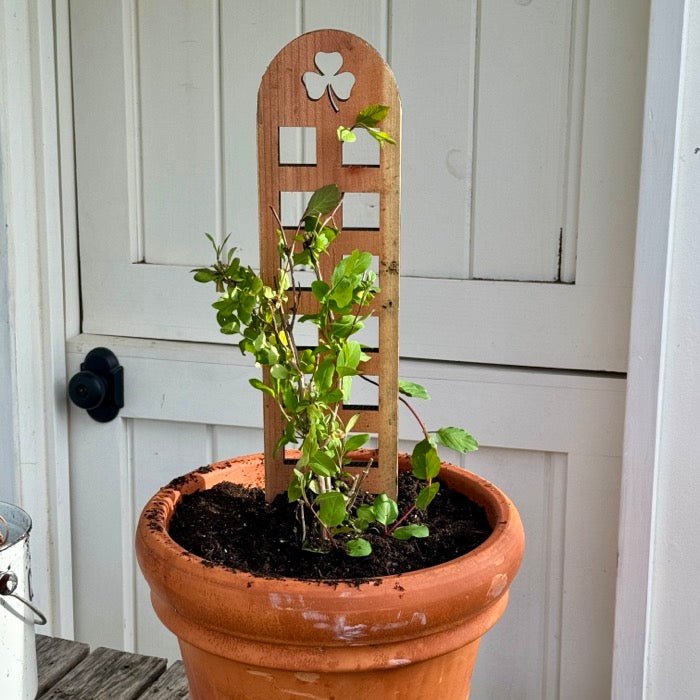 Unique Shamrock Trellis | Made in USA with US Cedar/Redwood
