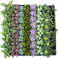 Bulk Succulent Plants