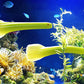 1000 GOLDEN Self-BLANCHING CELERY aka Burpee's or Dwarf Golden Apium Graveolens Dulce Vegetable Seeds