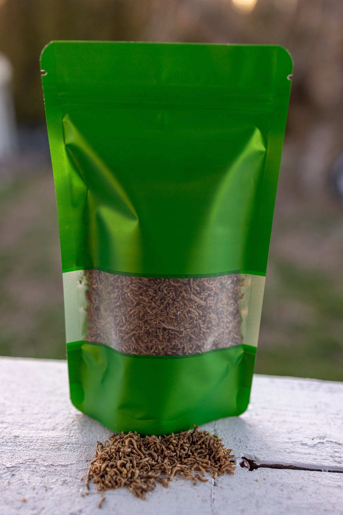 Venus Flytrap Bloodworm Feeding Kit + Other Carnivorous Plants