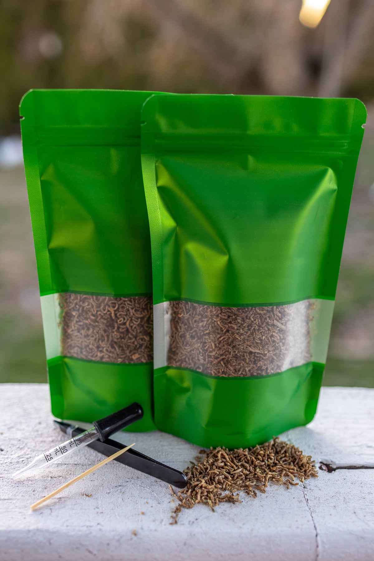 Venus Flytrap Bloodworm Feeding Kit + Other Carnivorous Plants