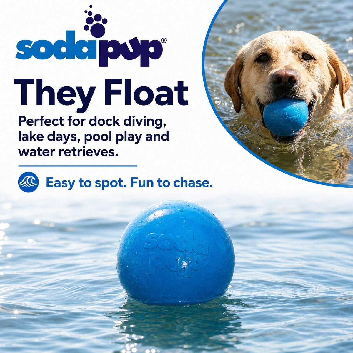 Pelota de juguete para perros Glitter Ball | Pelota de goma blanda PUP-X que flota para buscar y recoger con dispensador de premios | Fabricada en EE. UU.