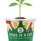 Cucumber | Plant Seed Starter Grow Kit | Seeds In A Cup®