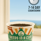 Cucumber | Plant Seed Starter Grow Kit | Seeds In A Cup®