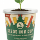 Beans | Plant Seed Starter Grow Kit | Seeds In A Cup®