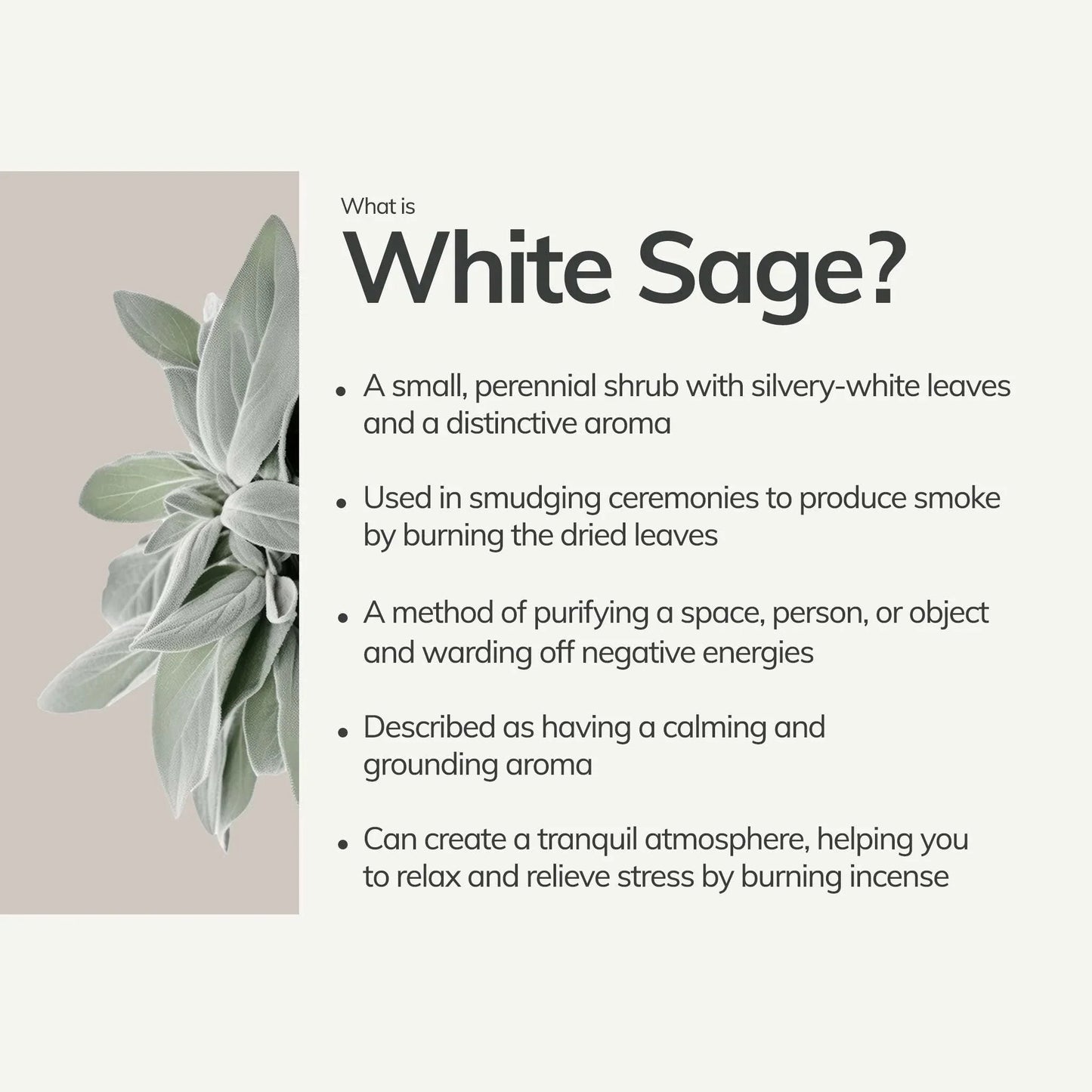White Sage Incense Sticks – 30 Mini Hand-Rolled Sticks from Peru (4.2")