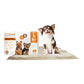 WizSmart Essentials Large Dog Training Pads for Puppies