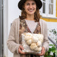 Lion's Mane Mushroom Grow Kit Fruiting Block - 5 LBS