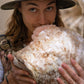 3 Pack - Lion's Mane, Pink, and Blue Oyster Mushroom Grow Kit Fruiting Block - 15 LBS