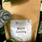 Worm Castings